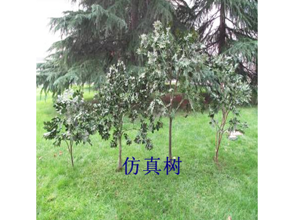 仿真樹
